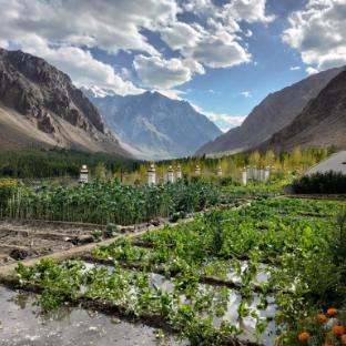 the village resort ashuna
