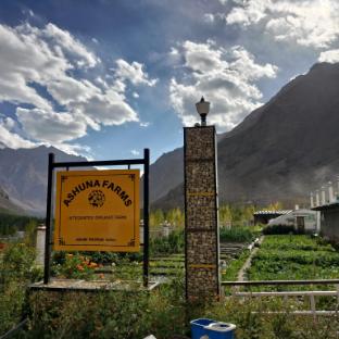 the village resort ashuna