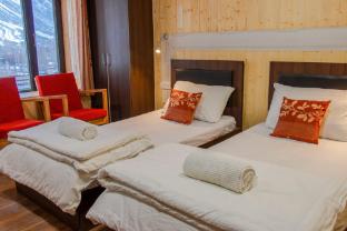 the village resort ashuna