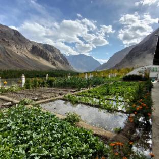 the village resort ashuna