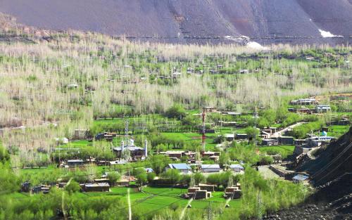 the village resort ashuna