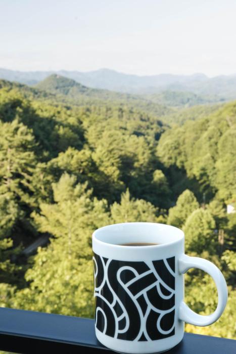 bryson city