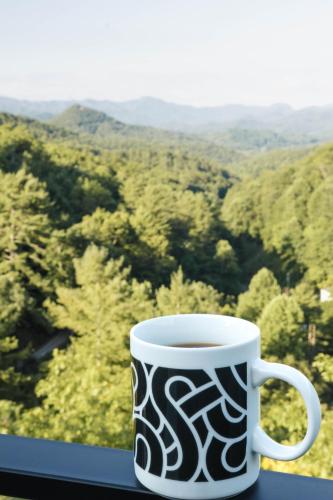 bryson city