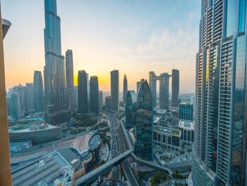 paradise view holiday homes l l c