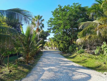 Atlantic View Luxury Villa With Pool,,4 star