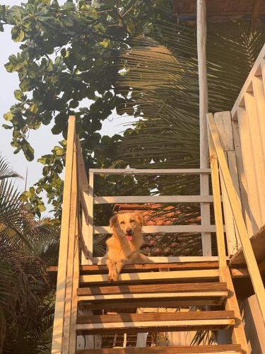 the nine beach resort patnem goa