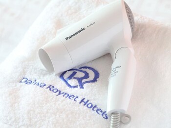 daiwa roynet hotel mito