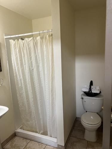 virginian hotel