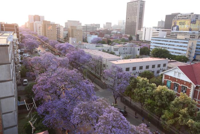 morning star express hotel