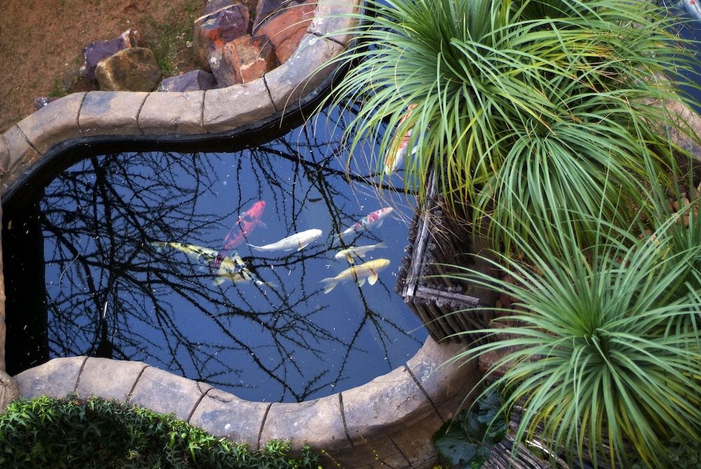 waterfalls boutique hotel