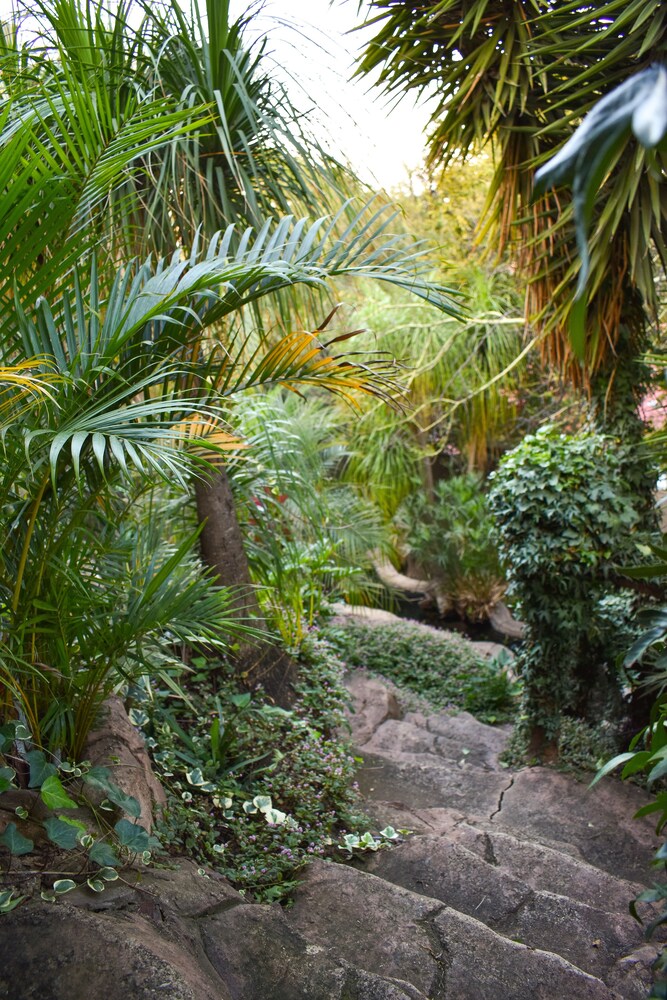 waterfalls boutique hotel