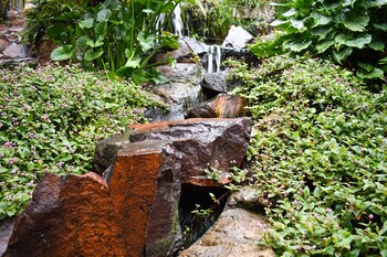 waterfalls boutique hotel