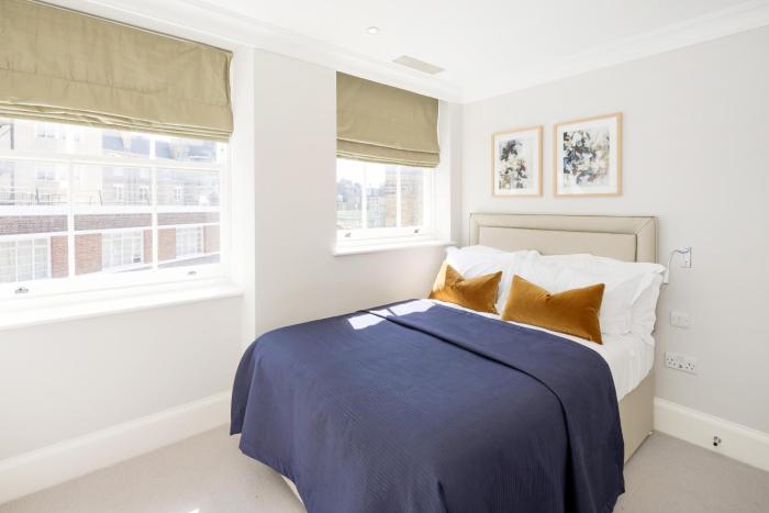 buckingham and lloyds knightsbridge