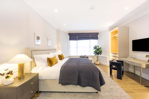 buckingham and lloyds knightsbridge