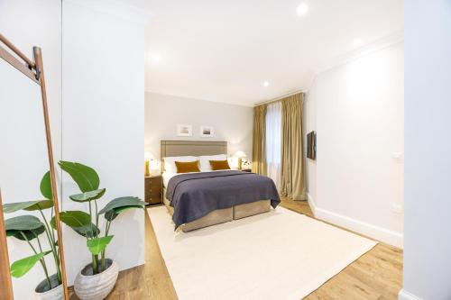 buckingham and lloyds knightsbridge