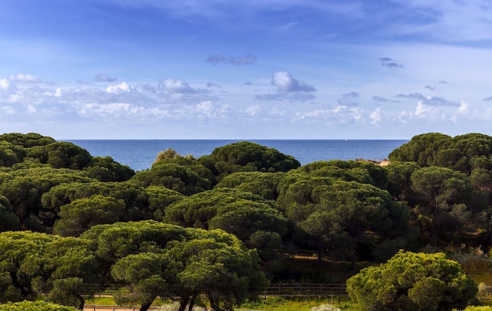 barcelo punta umbria mar hotel