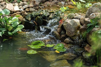 ko pha ngan