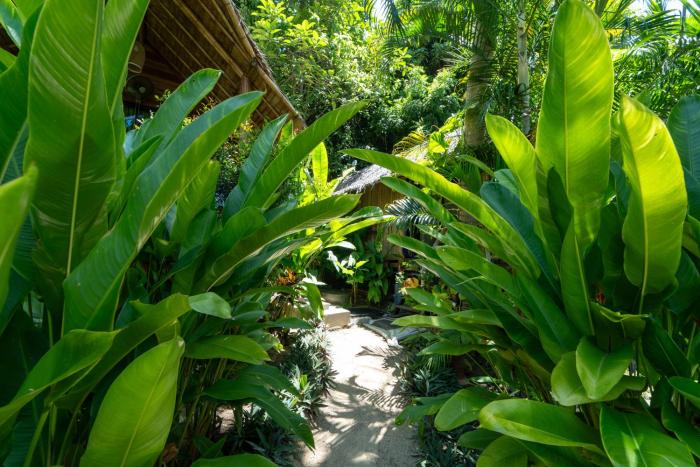 coconut bay eco resort