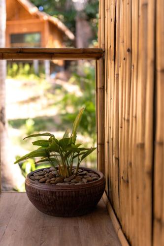 coconut bay eco resort