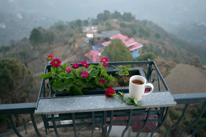 astra resort and caffe