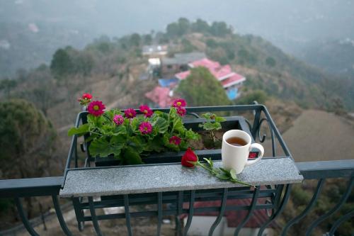 astra resort and caffe