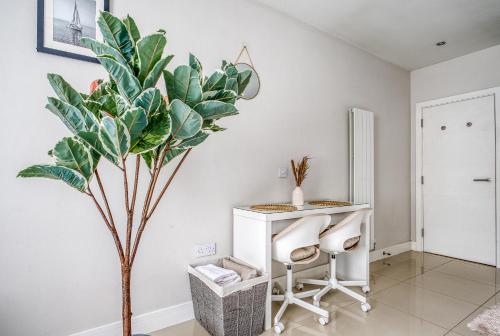 spacious 1 bedroom near hospital