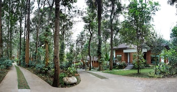 timbertales luxury resort coorg