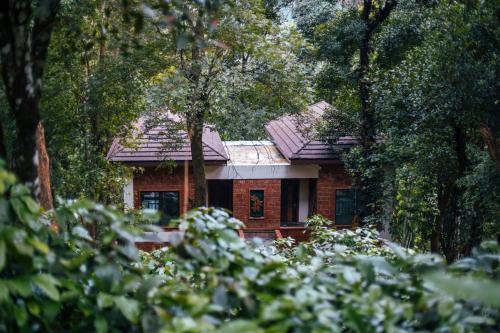 timbertales luxury resort coorg
