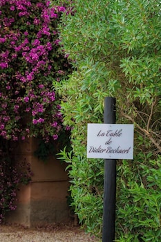 villa al assala palmeraie