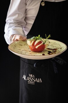 villa al assala palmeraie