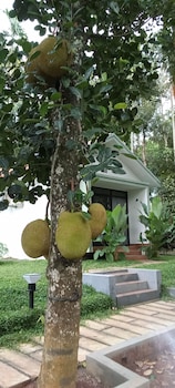 le vista resort wayanad