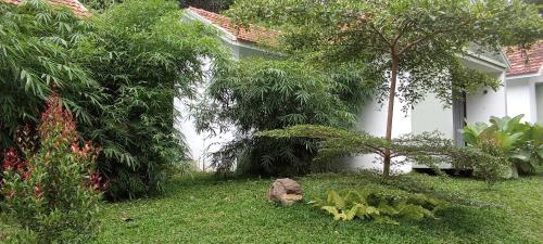 le vista resort wayanad