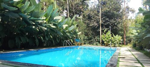 le vista resort wayanad