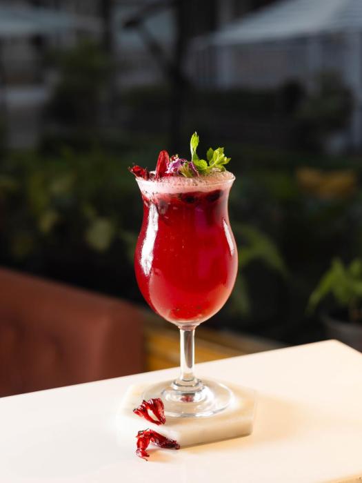 megha resort and villas dehradun where nature pampers you