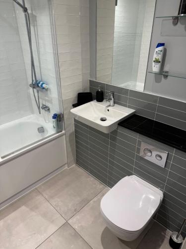 cozy 1 bed apartmrnt luton airport