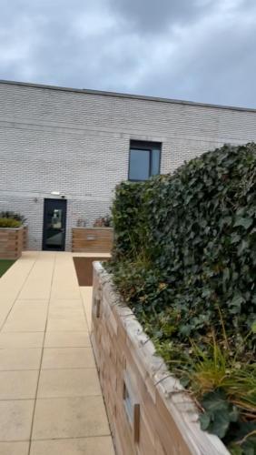 cozy 1 bed apartmrnt luton airport