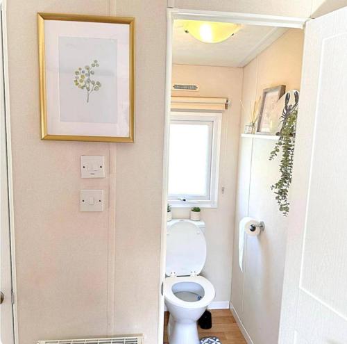 harwich caravan sleeps 10 garden pool
