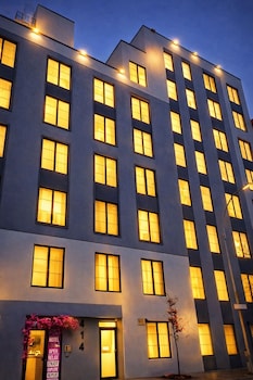 rose hotel bronx