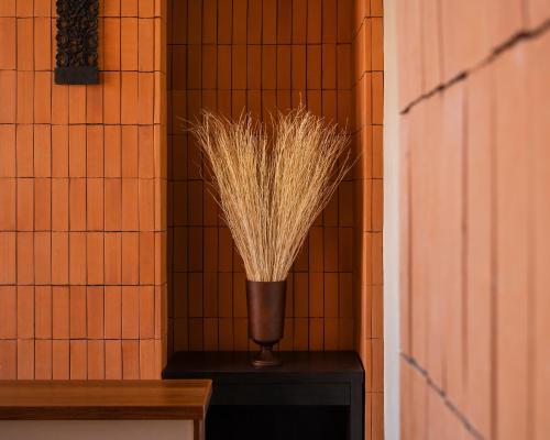 anda lanta residence and rentals adult only