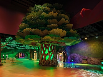 Great Wolf Lodge Webster,,2 star