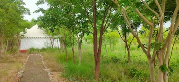 kross adventure campsite