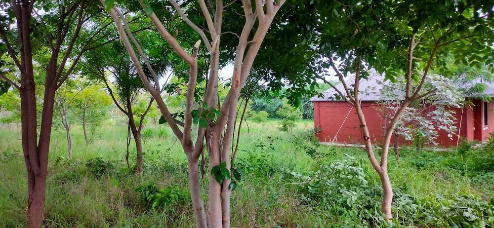 kross adventure campsite