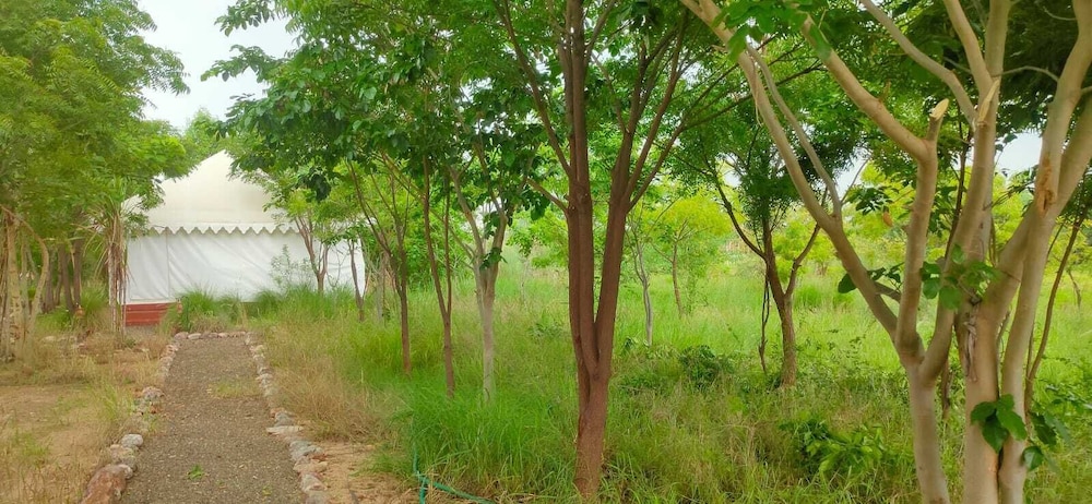 kross adventure campsite