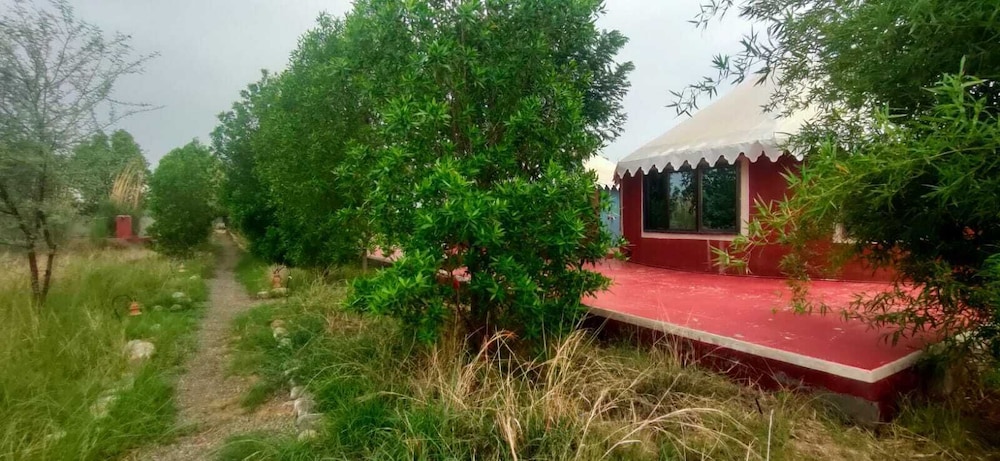 kross adventure campsite