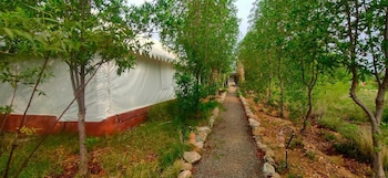 kross adventure campsite