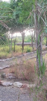 kross adventure campsite