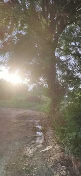 kross adventure campsite