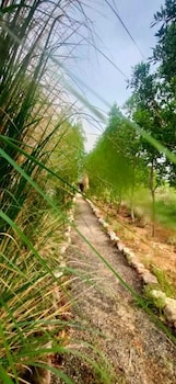 kross adventure campsite