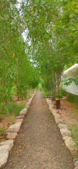 kross adventure campsite