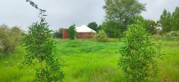 kross adventure campsite